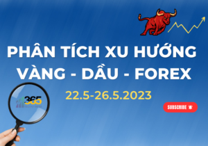 Ke Hoach Giao Dich Forex Vang Dau Tuan22.5 26.5